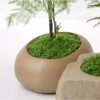 Artificial Simulated Moss