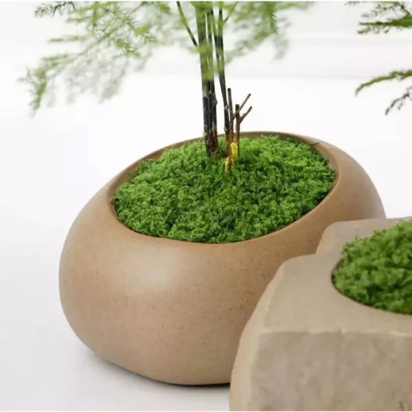 Artificial Simulated Moss
