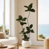 Artificial Rubber Plant Tree with Pot