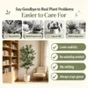 my-11134207-820l7-mrpl03ve093c7c.webp Large Faux Olive Tree Indoor Plant