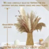 Dried Pampas Bouquet Woven Vase H60cm