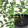sg-11134201-81zv7-mix3xo6jrbwkba.webp Hanging Artificial Vine Potted Plant H80cm